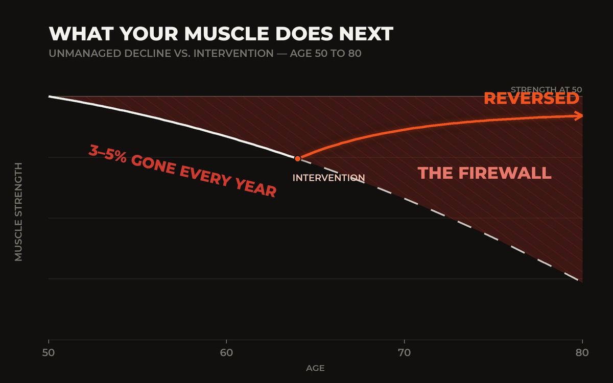 Chart showing muscle decline after 50 and recovery with intervention