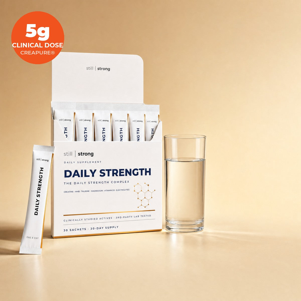 StillStrong The System — view 1