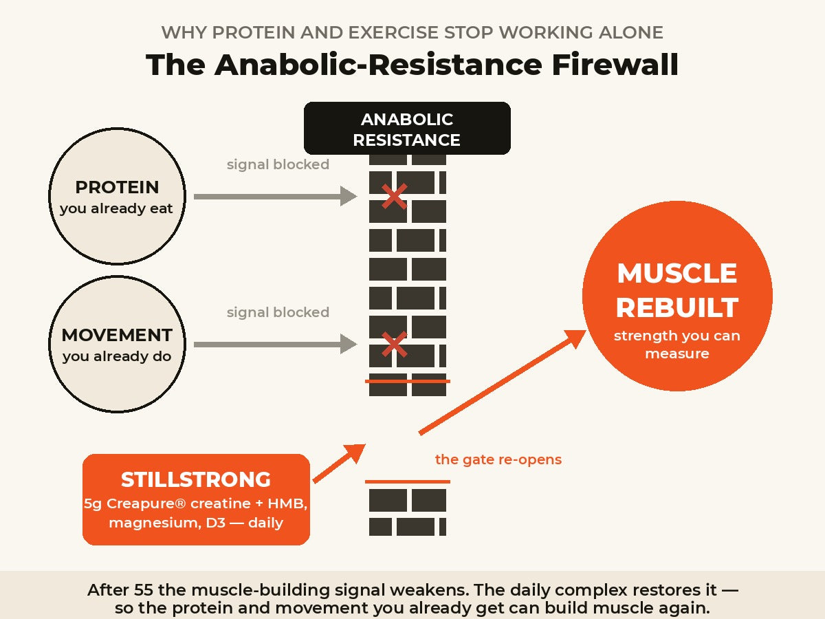 Diagram: how five compounds break anabolic resistance
