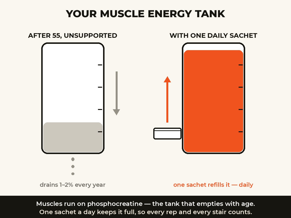 Illustration: muscle responding to the rebuild signal